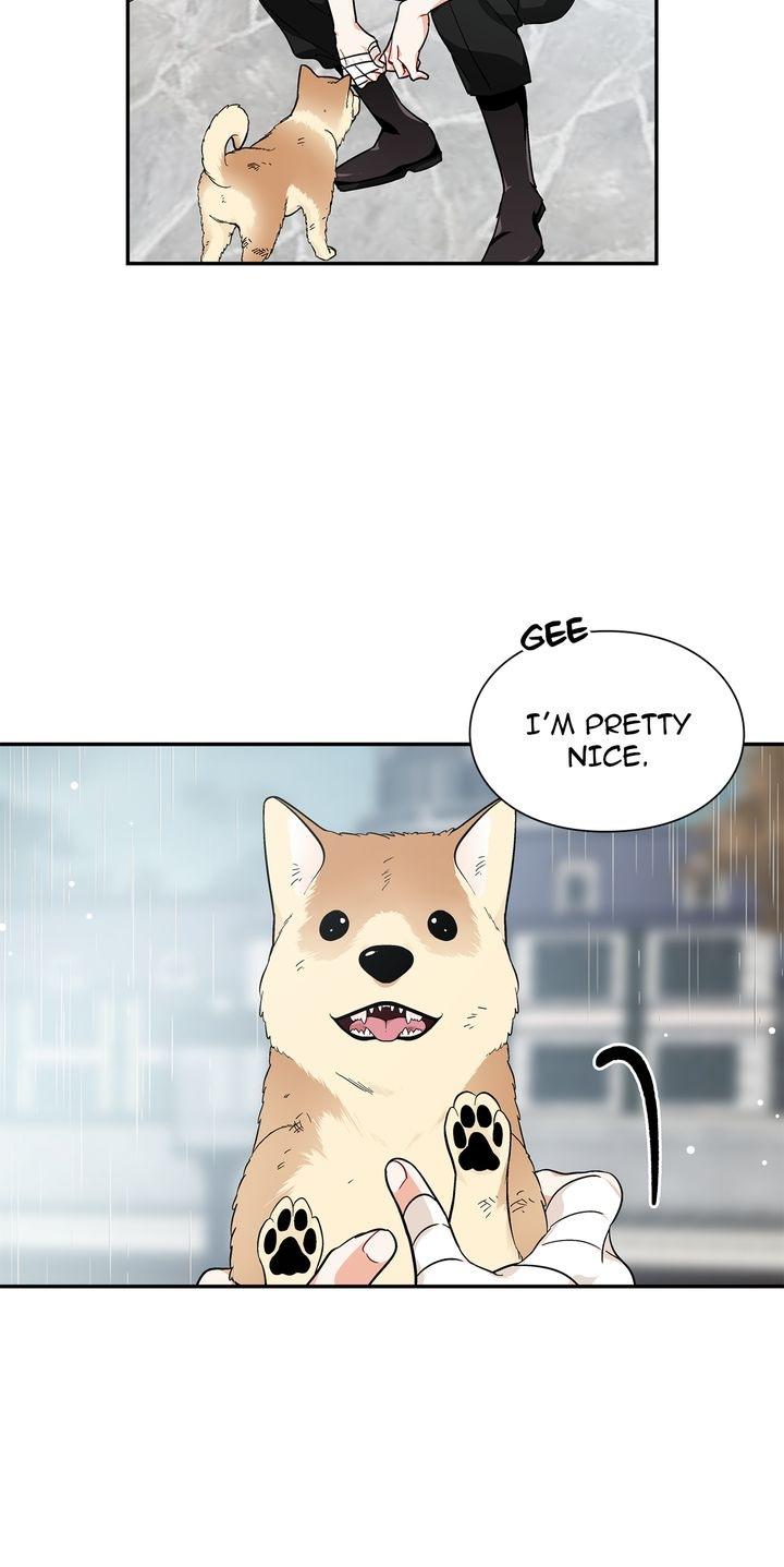 Read Doctor Elise EN Manga Online