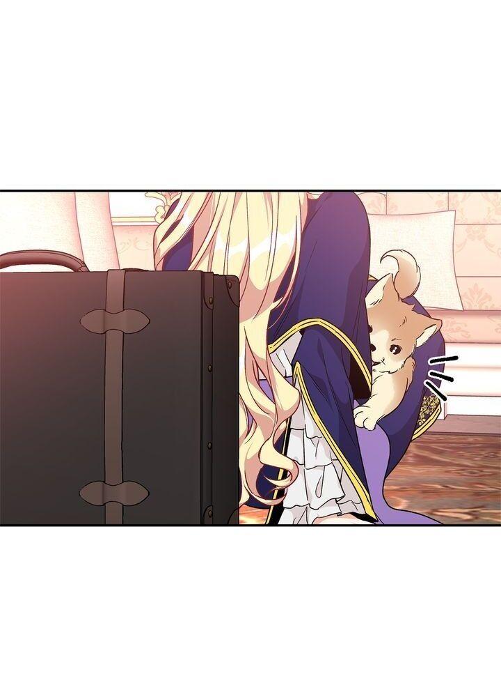 Read Doctor Elise EN Manga Online