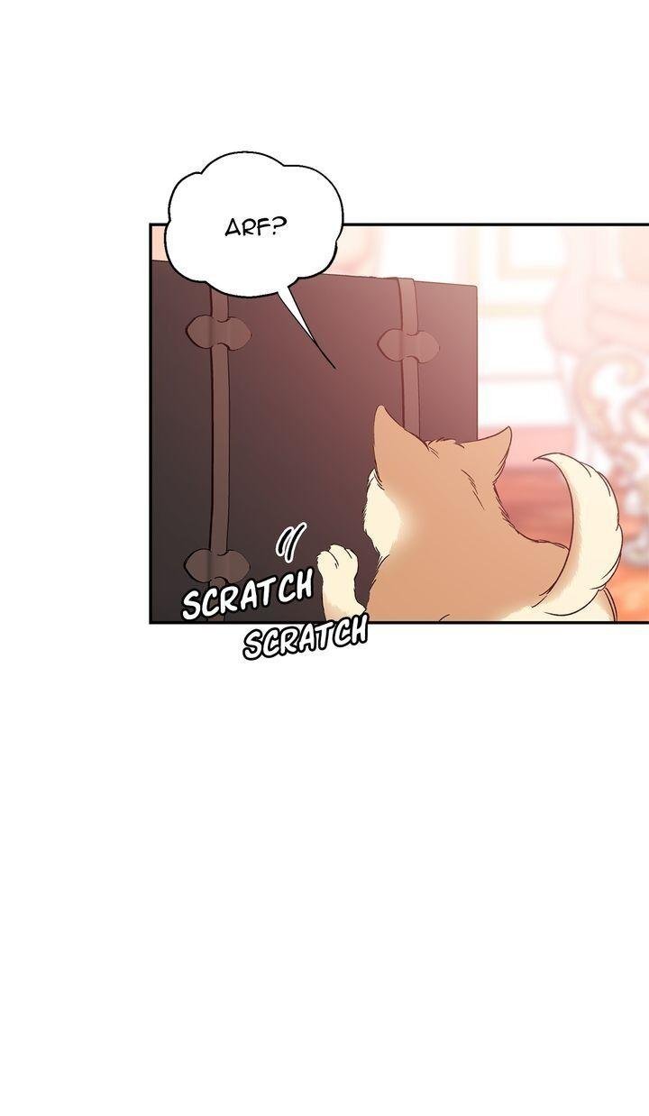 Read Doctor Elise EN Manga Online