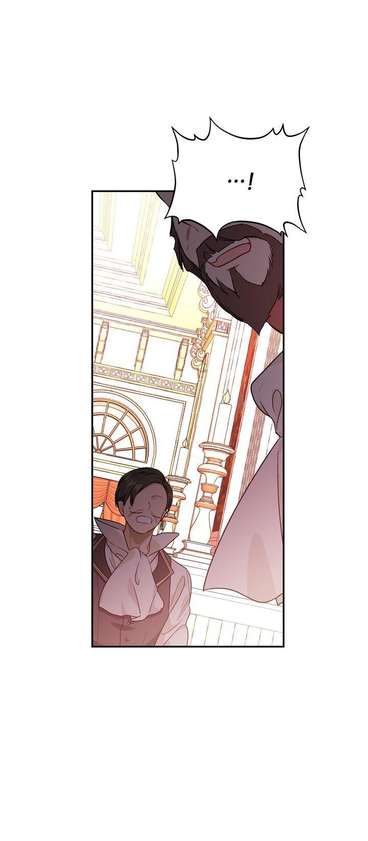Read Doctor Elise EN Manga Online