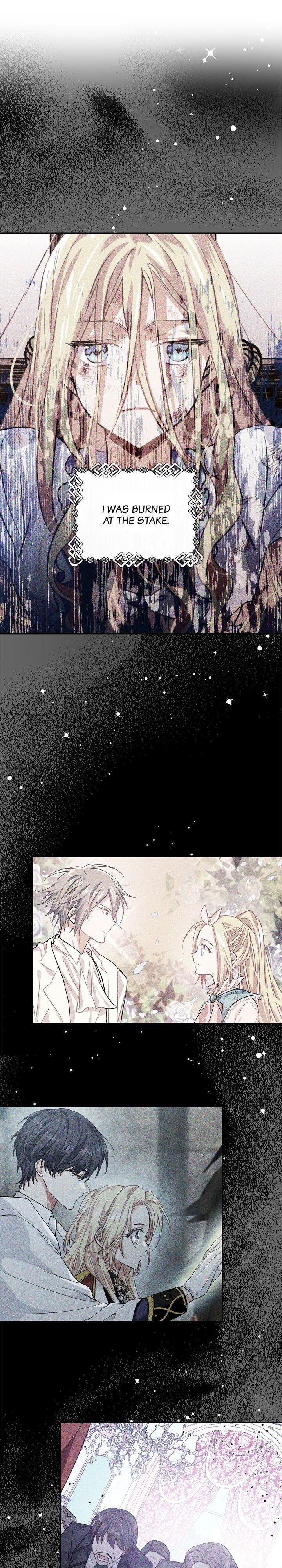 Read Doctor Elise EN Manga Online
