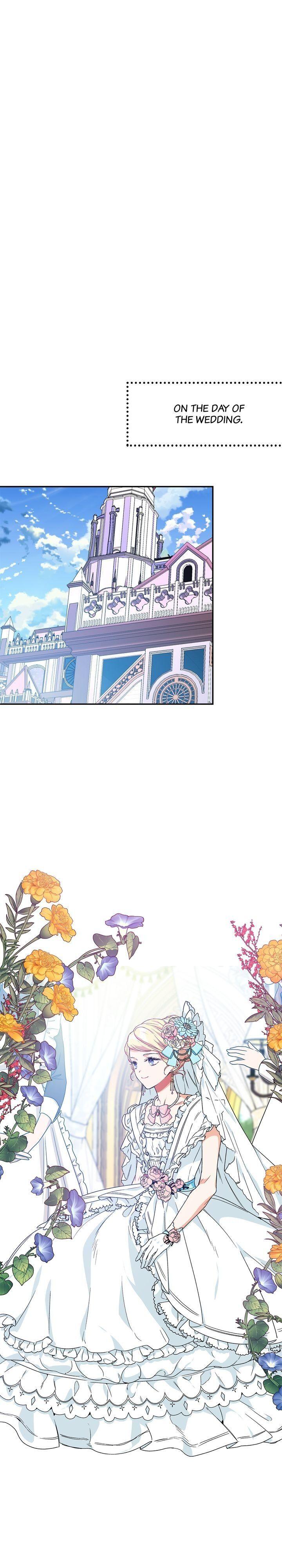 Read Doctor Elise EN Manga Online