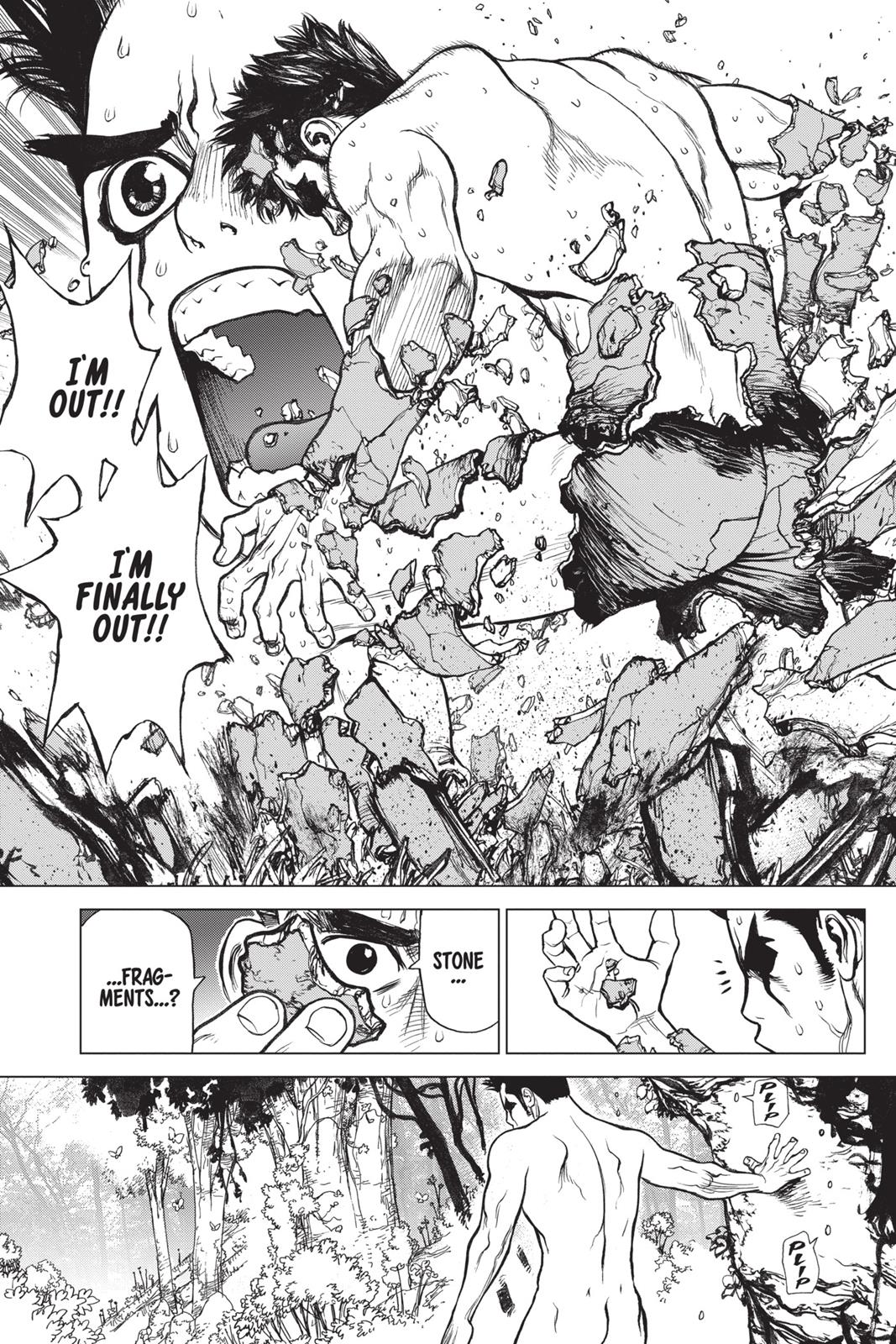Read Dr. STONE EN Manga Online