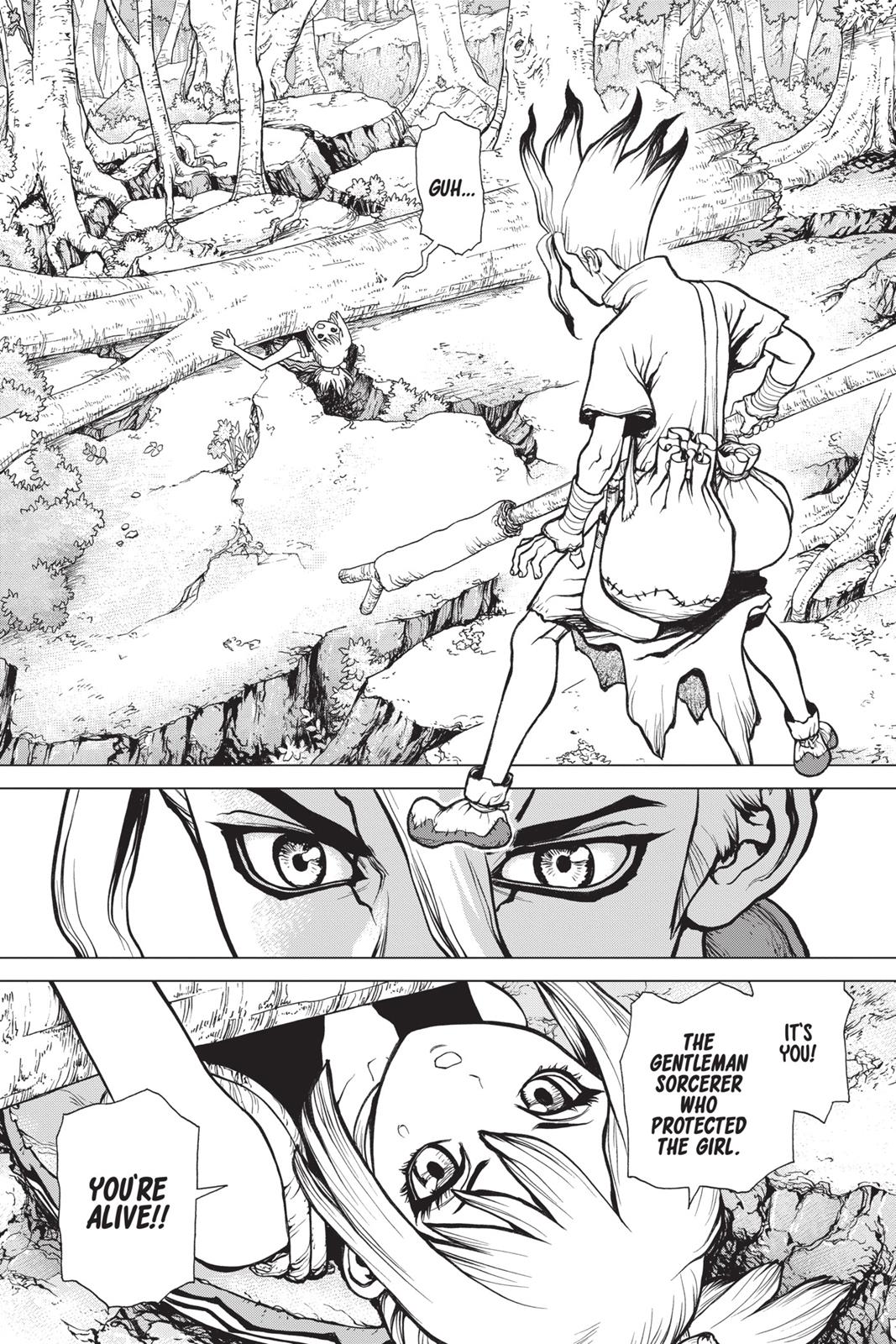 Read Dr. STONE EN Manga Online
