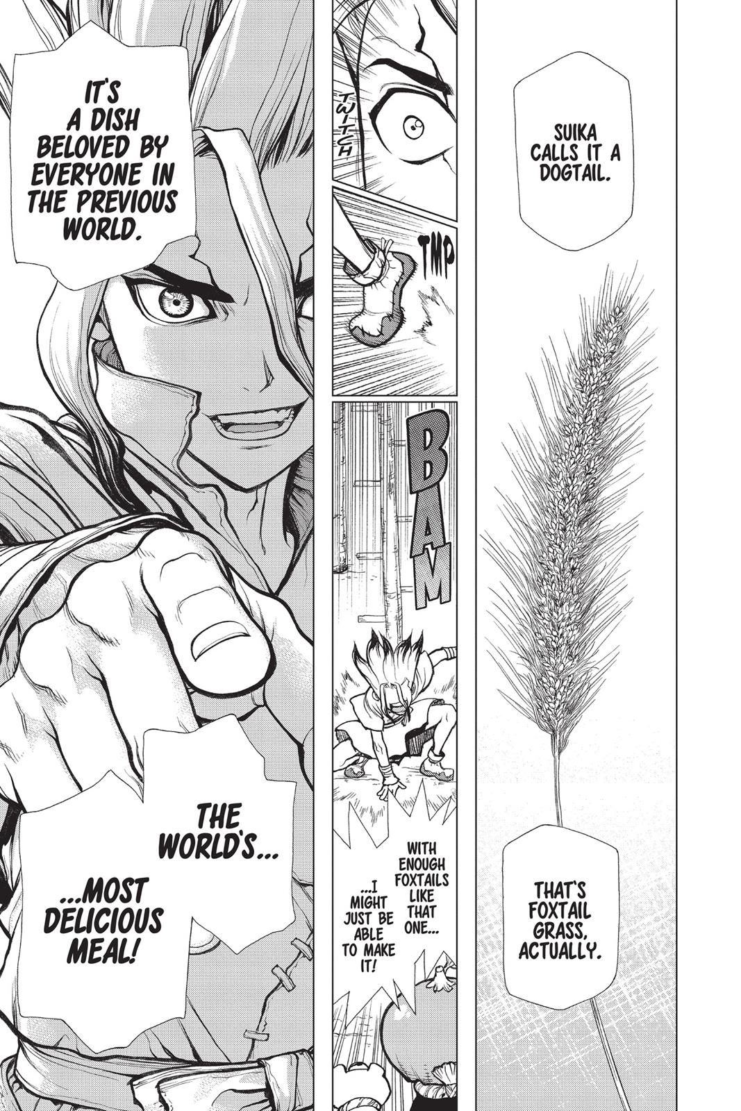 Read Dr. STONE EN Manga Online