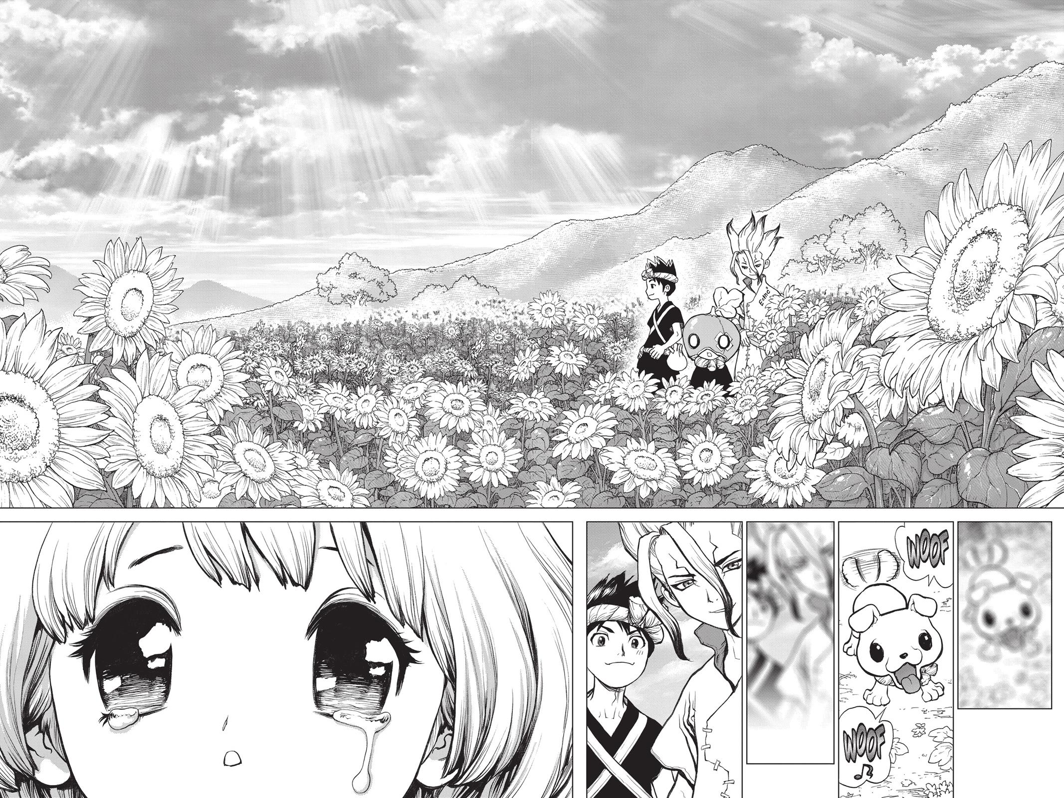 Read Dr. STONE EN Manga Online