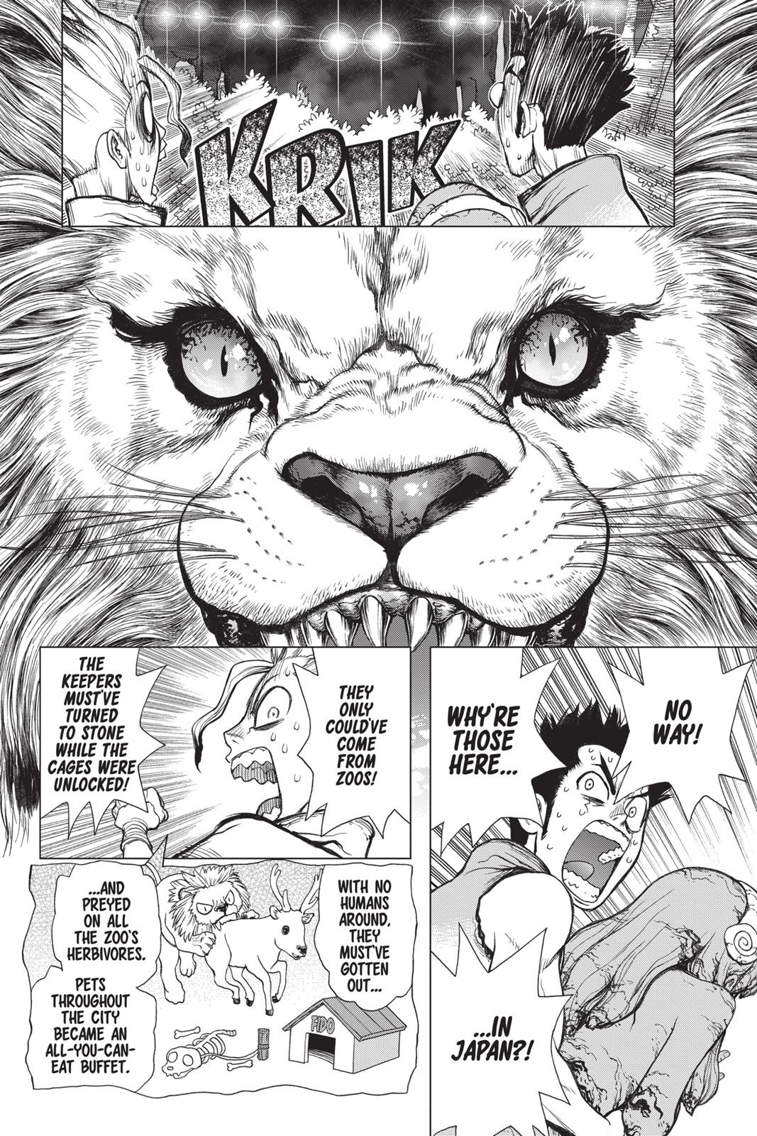 Read Dr. STONE EN Manga Online