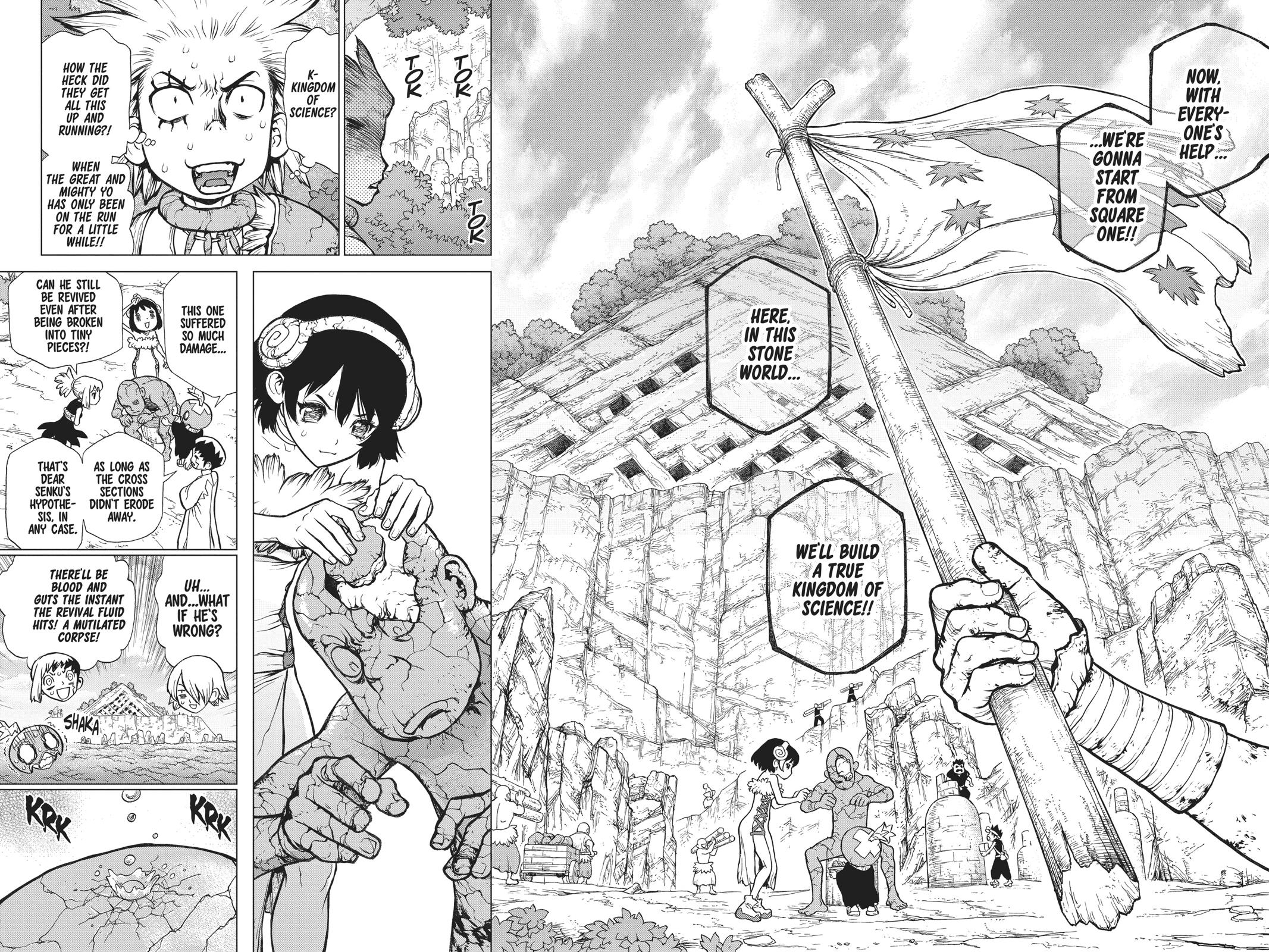 Read Dr. STONE EN Manga Online