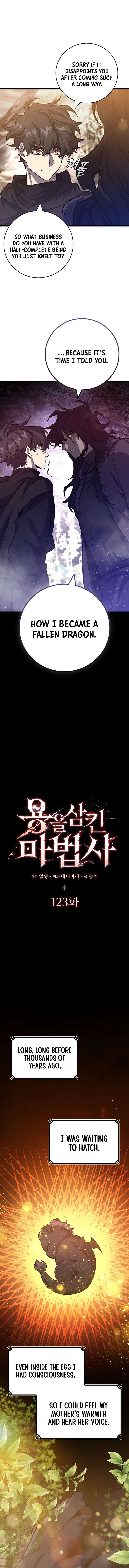 Read Dragon-Devouring Mage EN Manga Online