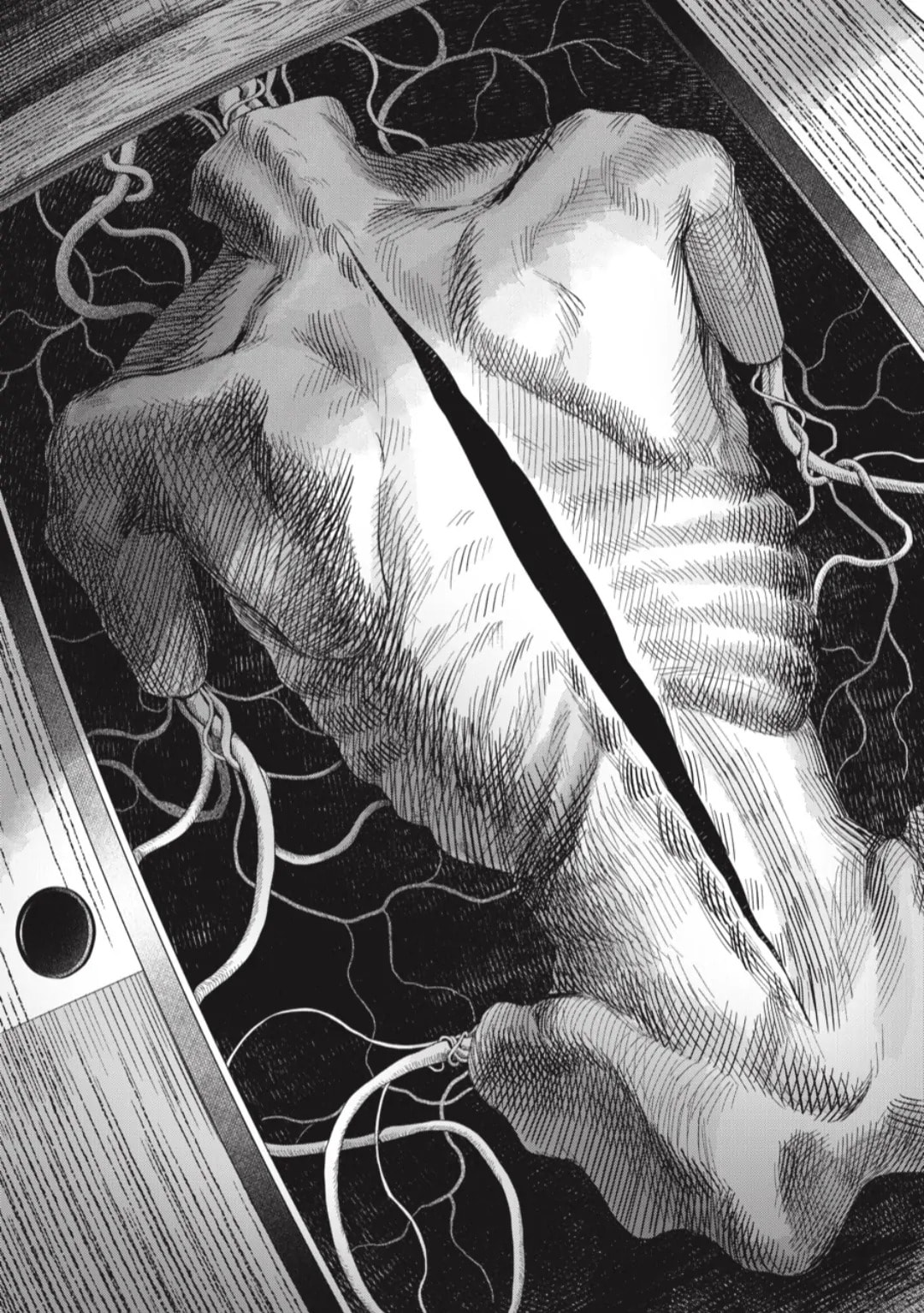 Read Hikaru ga Shinda Natsu EN Manga Online