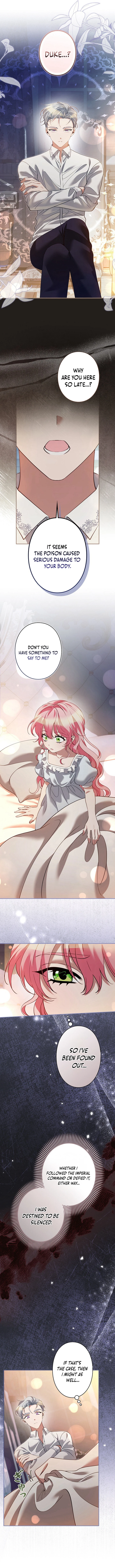 Read I Became a Miserable Extra in a Healing-Genre Novel EN Manga Online