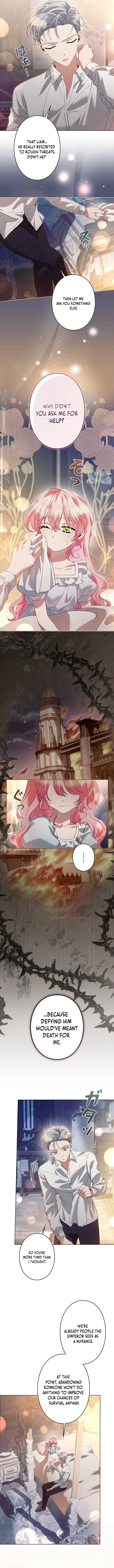 Read I Became a Miserable Extra in a Healing-Genre Novel EN Manga Online