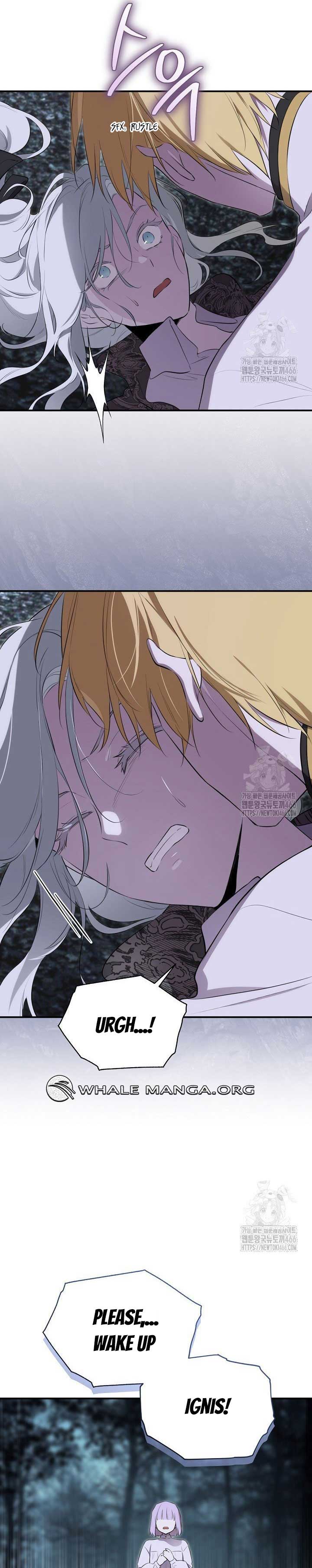 Read I Became the Hero’s Mom EN Manga Online