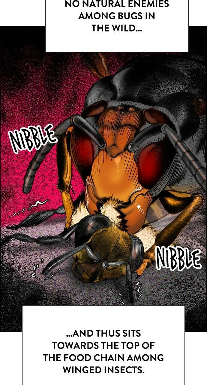 Read Jungle Juice EN Manga Online