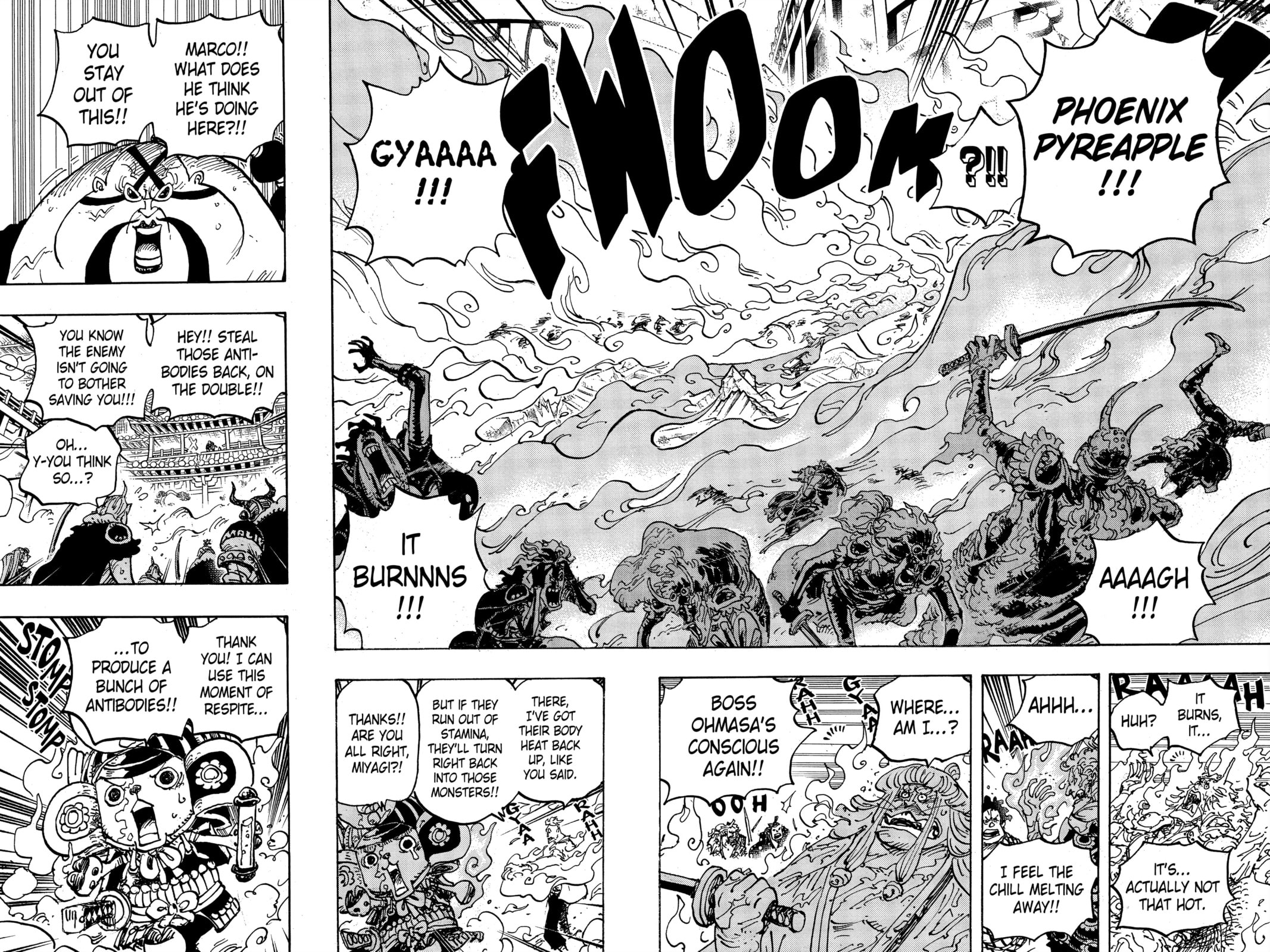 Read One Piece EN Manga Online