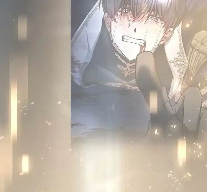 Read Regressor Instruction Manual EN Manga Online