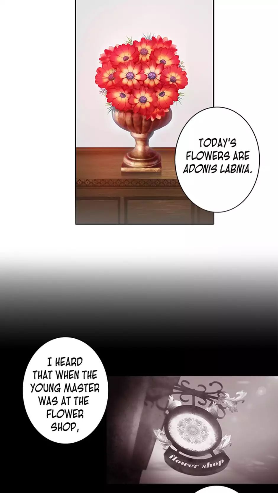 Read Reminiscence Adonis EN Manga Online