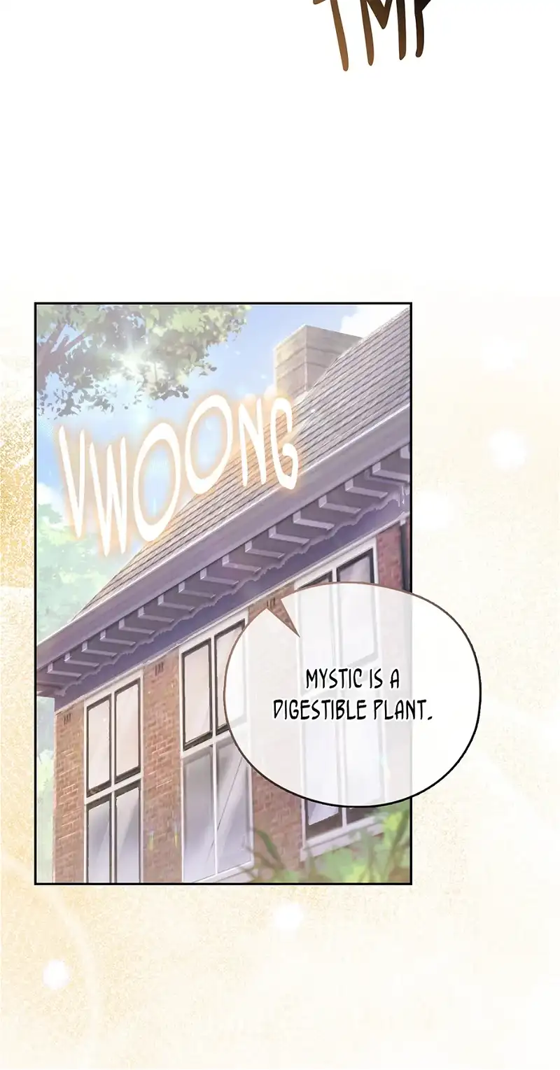Read Reminiscence Adonis EN Manga Online