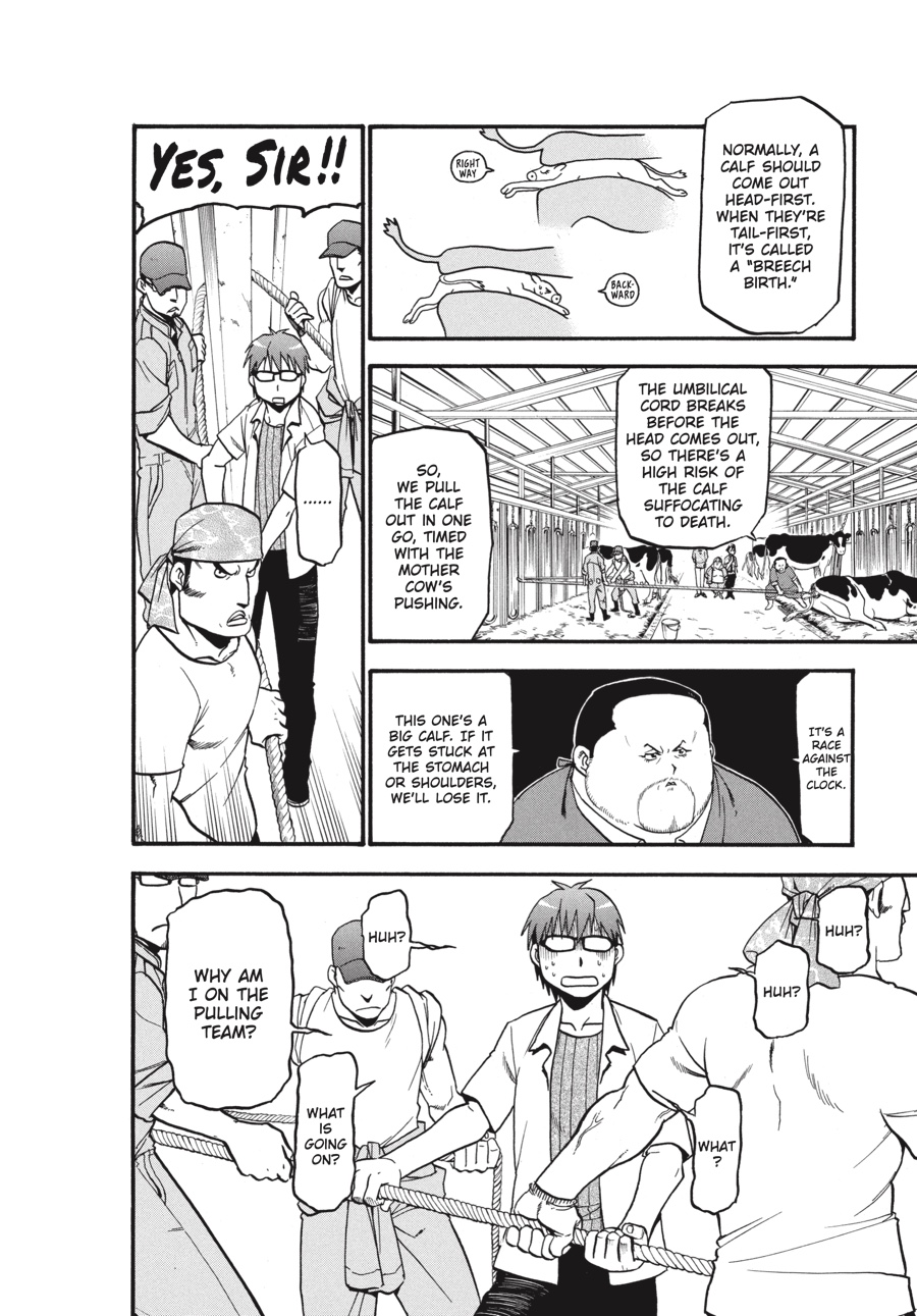 Read Silver Spoon EN Manga Online