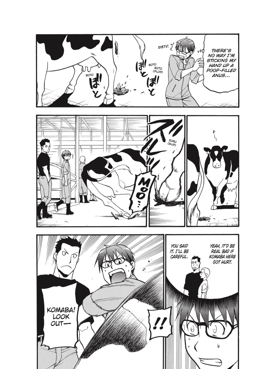 Read Silver Spoon EN Manga Online