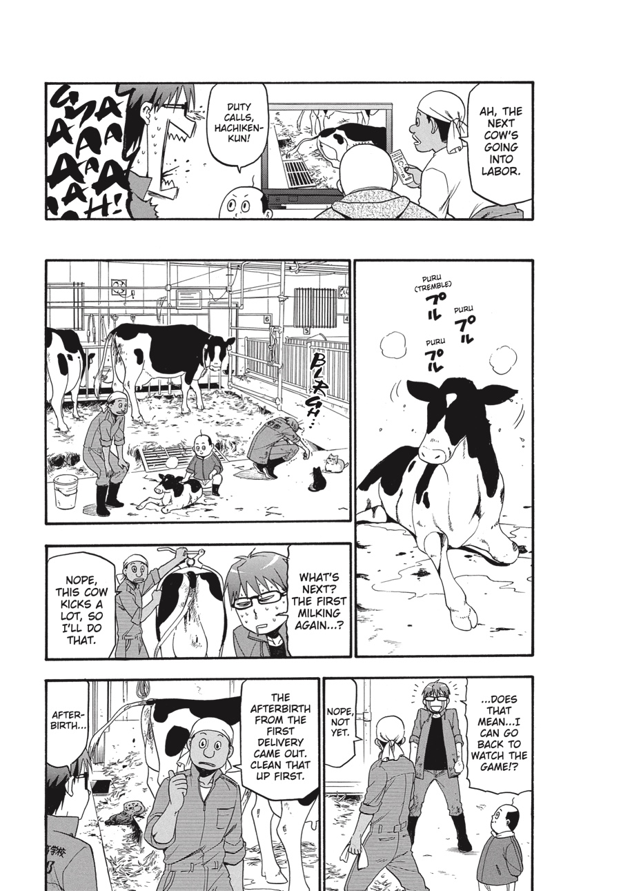 Read Silver Spoon EN Manga Online
