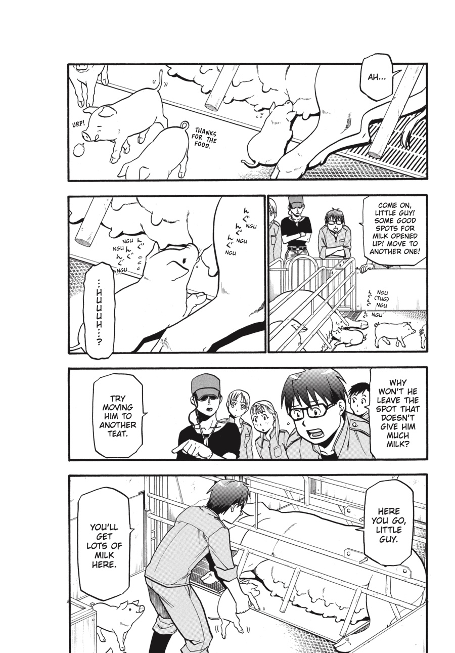 Read Silver Spoon EN Manga Online