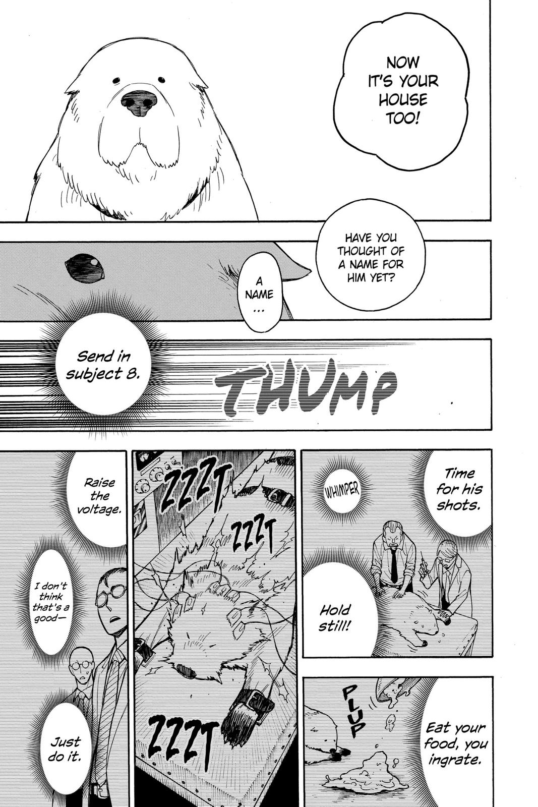 Read Spy x Family EN Manga Online