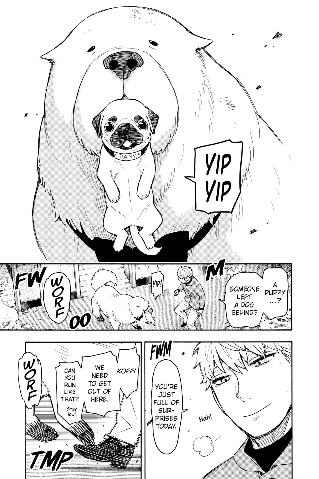 Read Spy x Family EN Manga Online