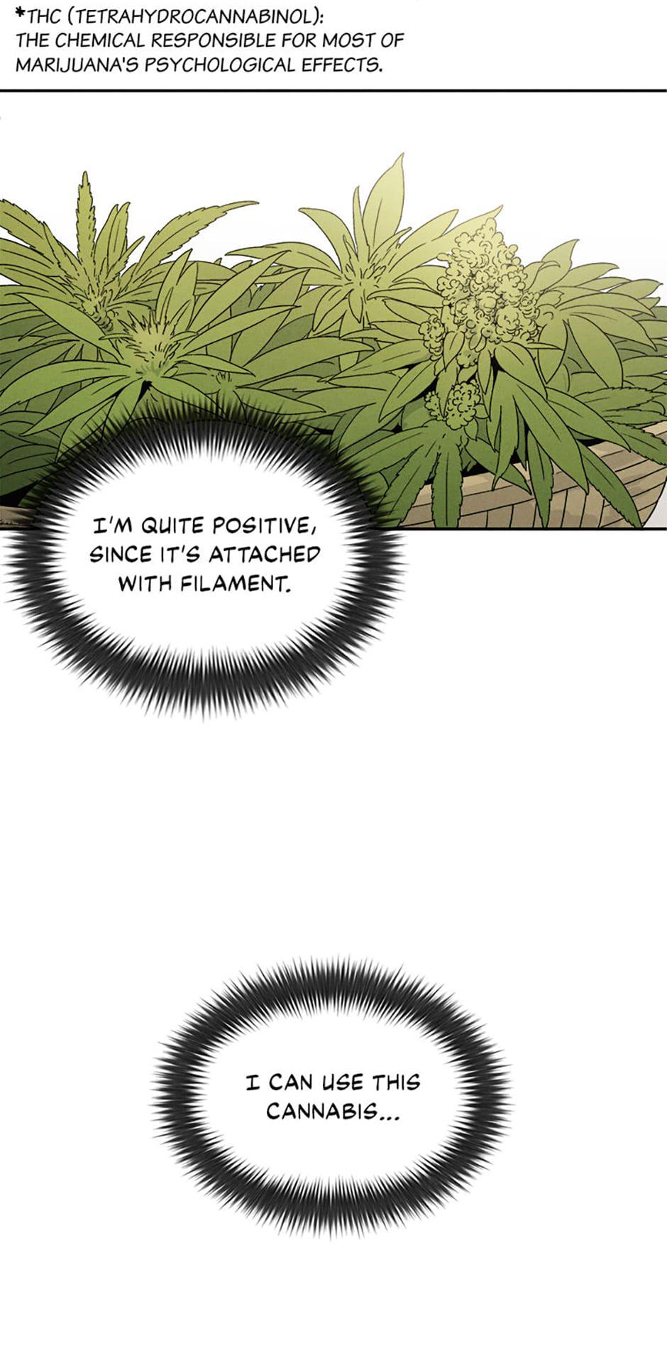Read The Divine Surgeon EN Manga Online