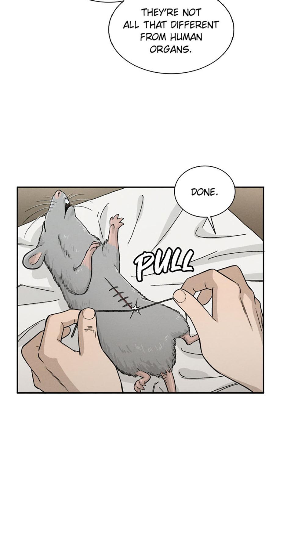 Read The Divine Surgeon EN Manga Online