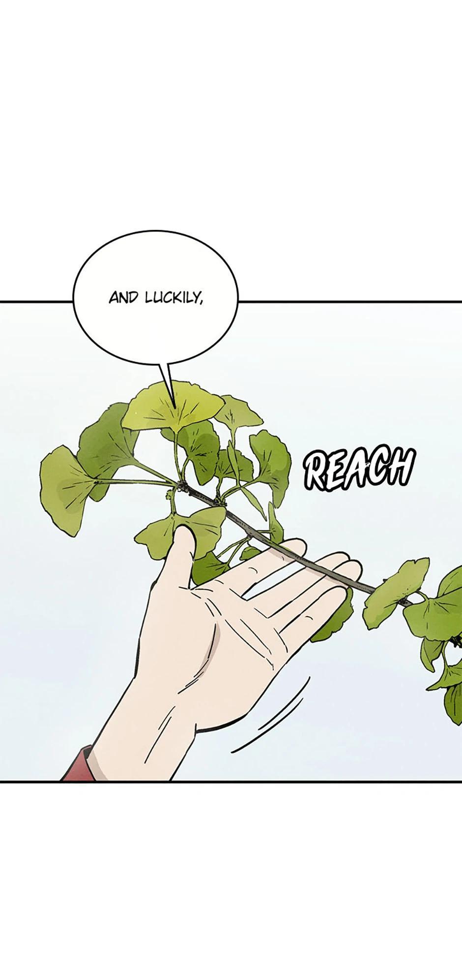 Read The Divine Surgeon EN Manga Online