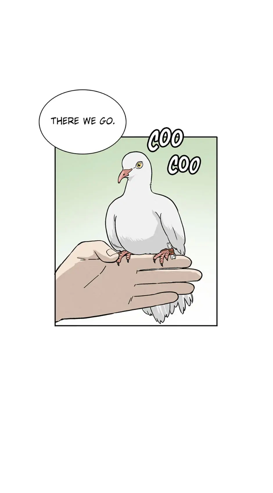 Read The Divine Surgeon EN Manga Online