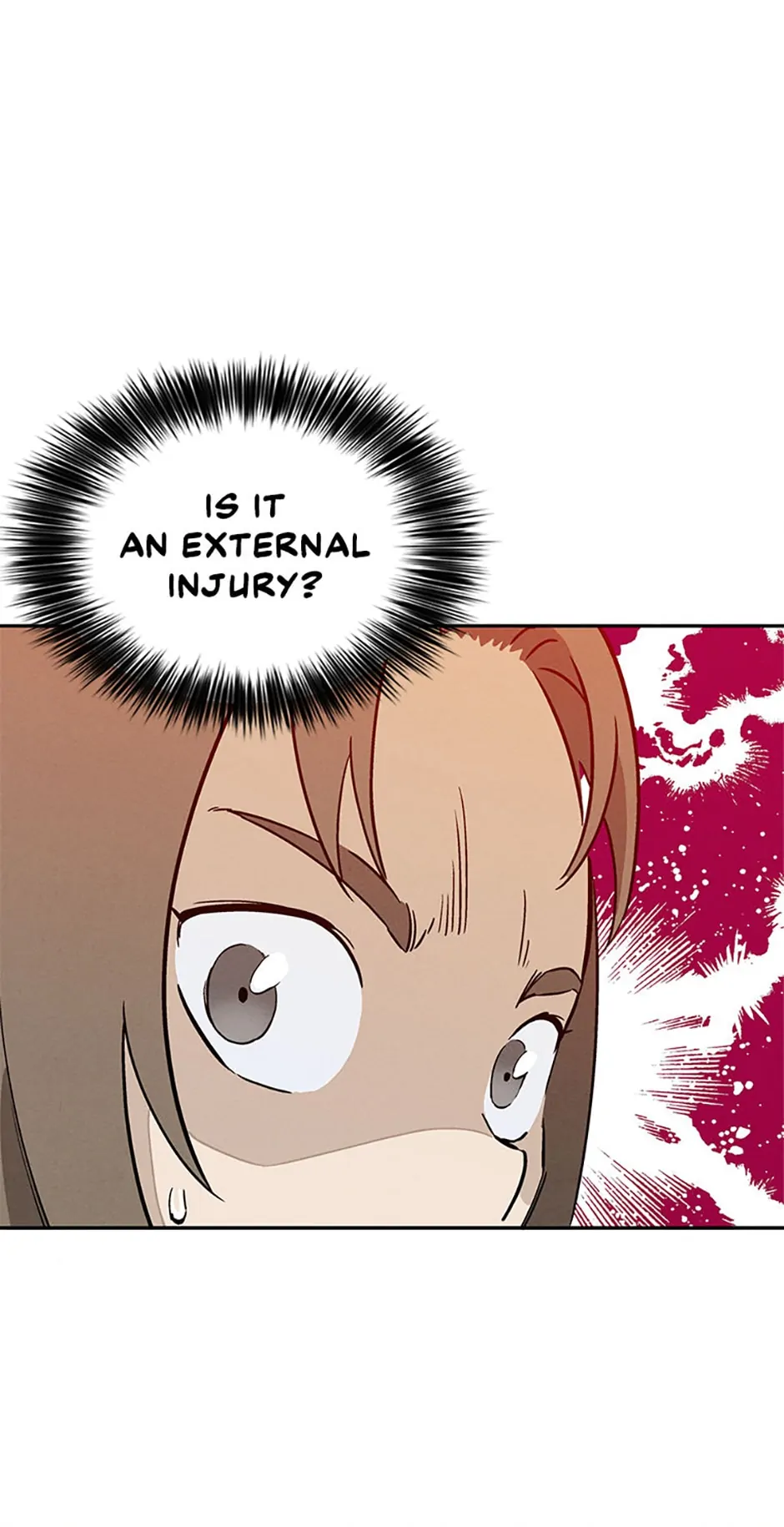Read The Divine Surgeon EN Manga Online