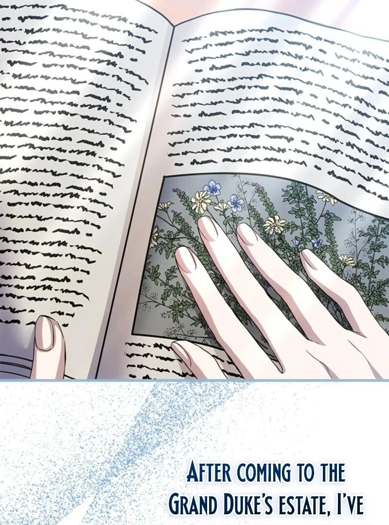 Read The Tower Master Who Became the Grand Duchess EN Manga Online