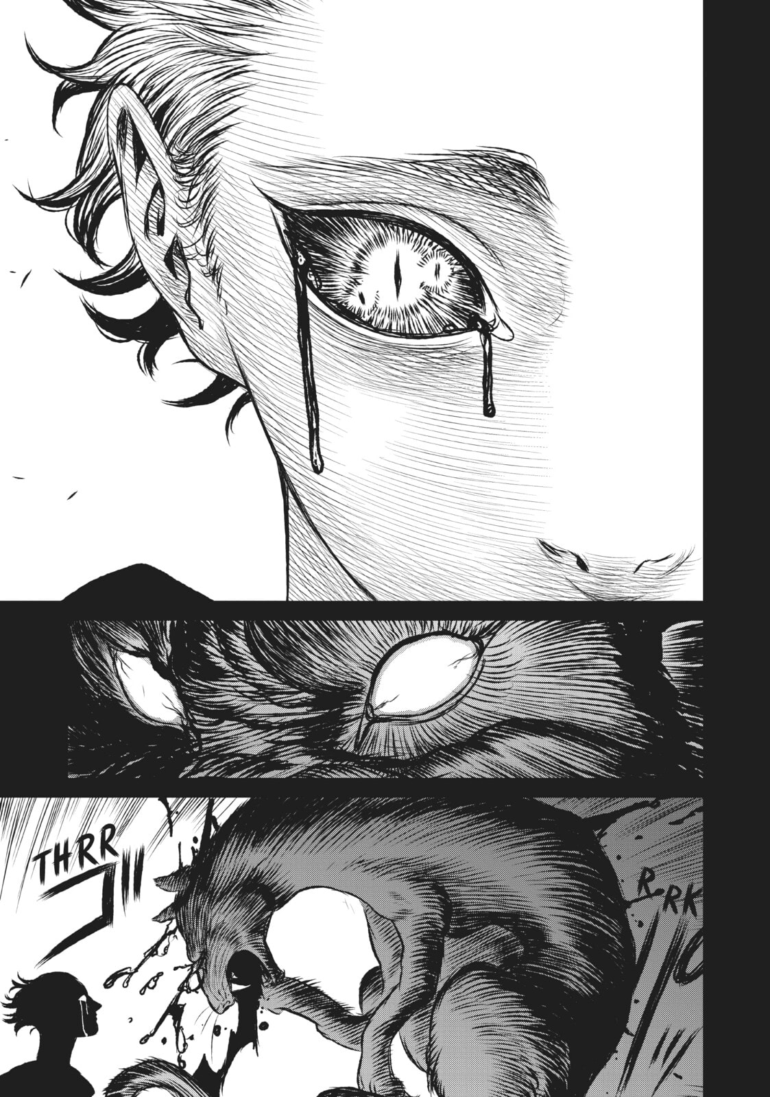 Read The Witch and the Beast EN Manga Online