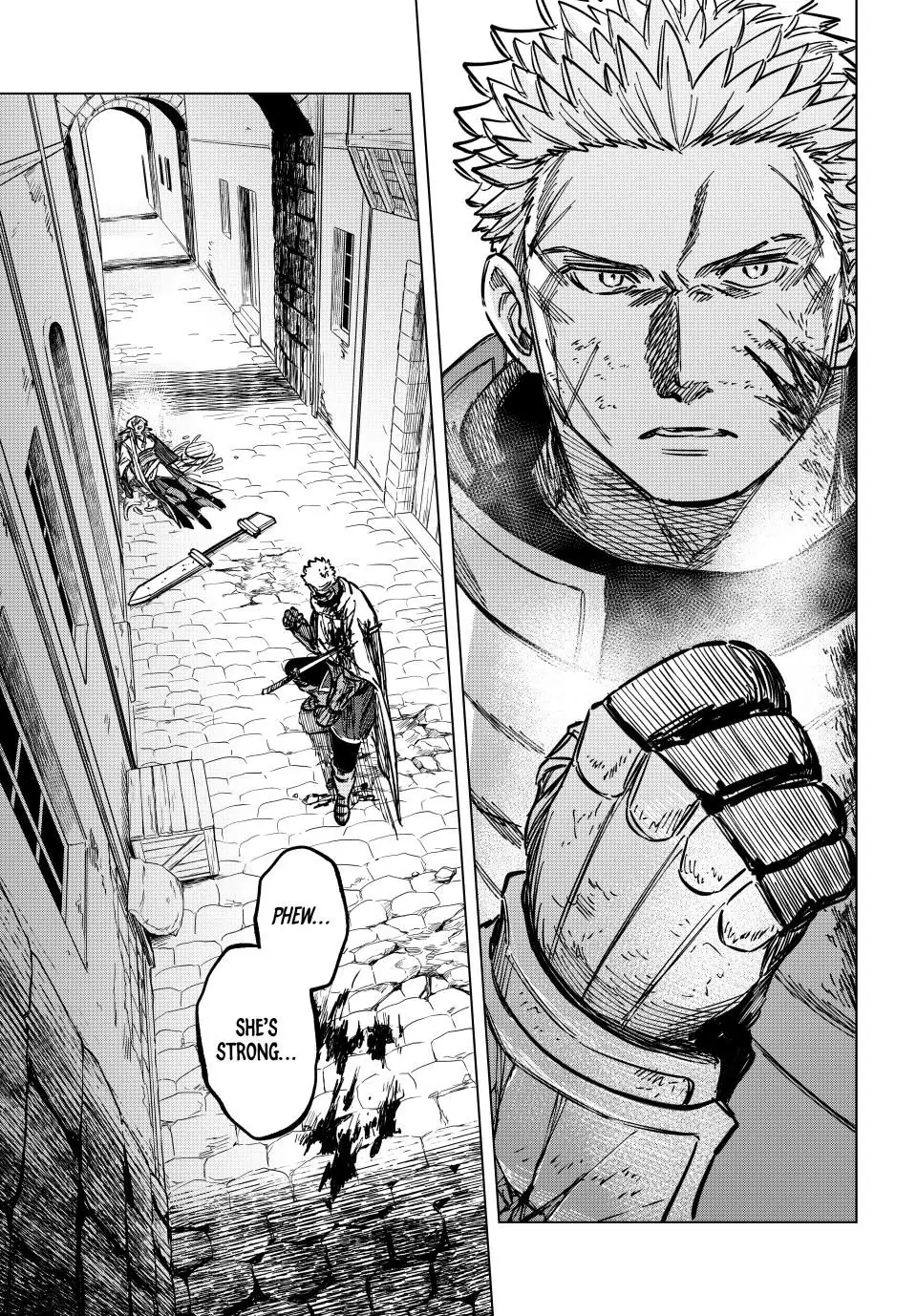 Read The Witch and the Mercenary EN Manga Online