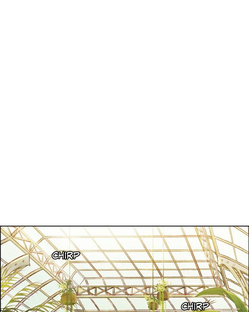 Read Traceless Knight EN Manga Online