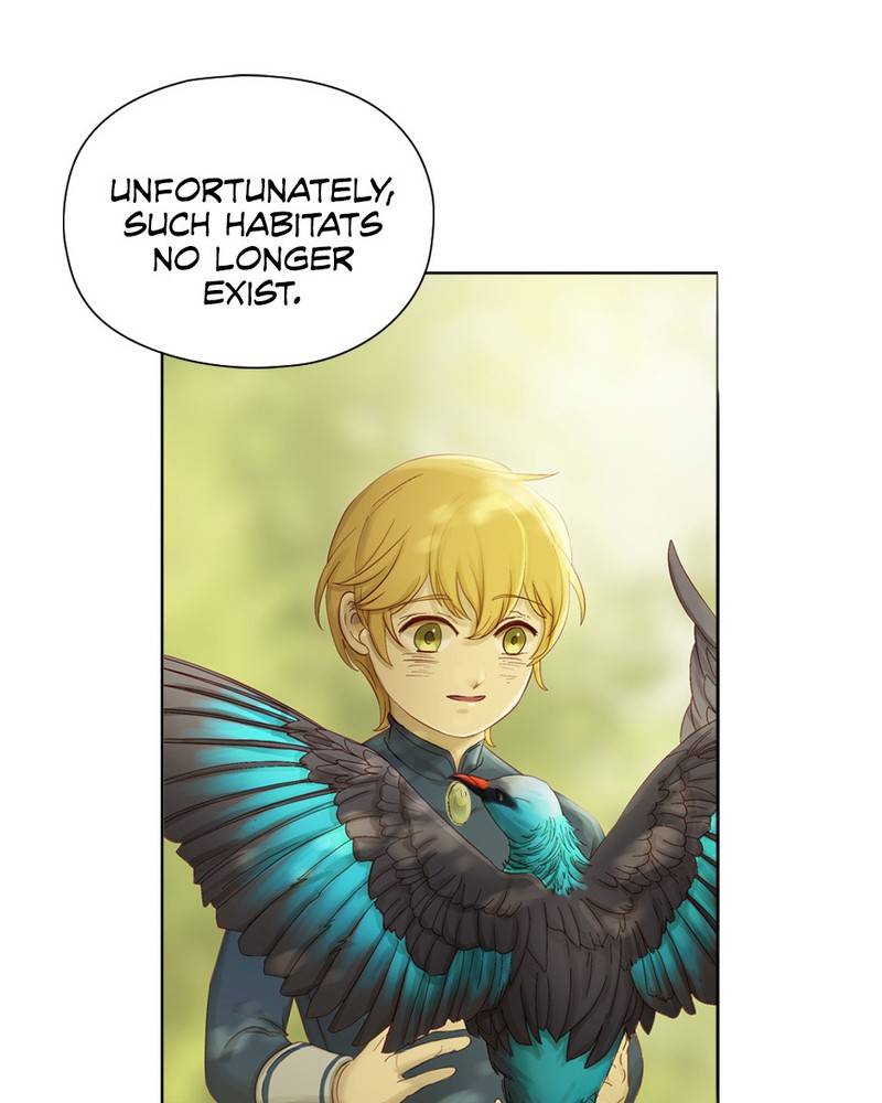 Read Traceless Knight EN Manga Online
