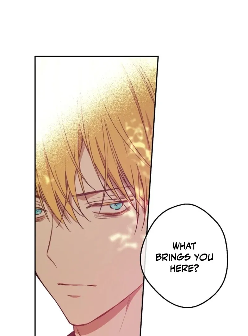 Read Who Made Me A Princess EN Manga Online