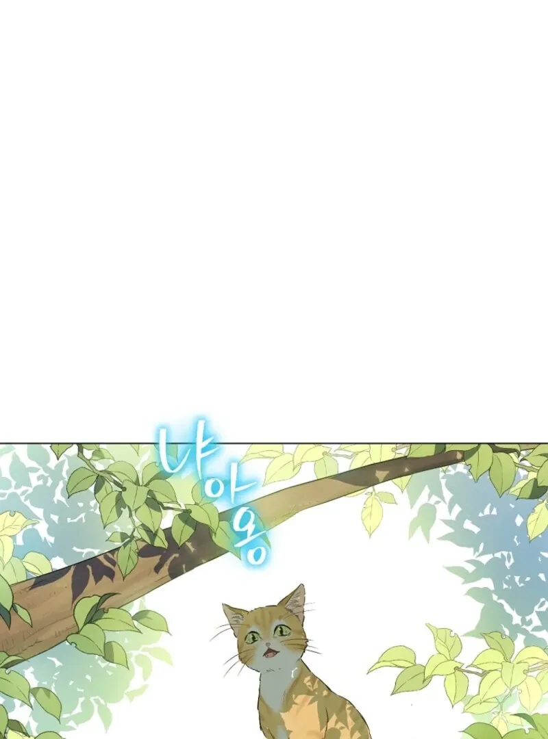 Read Who Made Me A Princess EN Manga Online