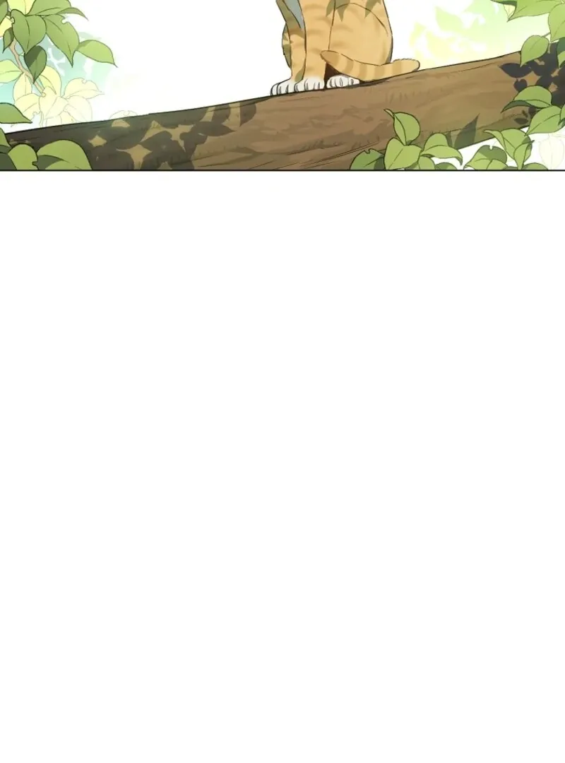 Read Who Made Me A Princess EN Manga Online