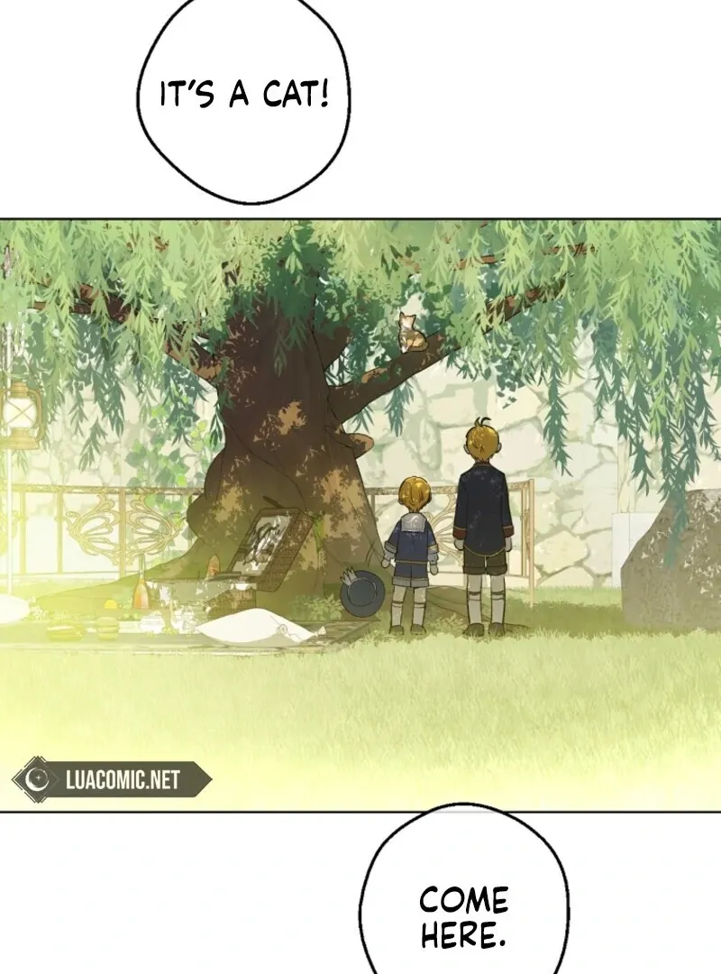 Read Who Made Me A Princess EN Manga Online