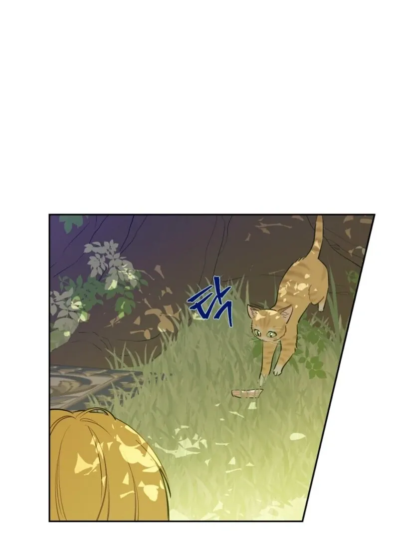 Read Who Made Me A Princess EN Manga Online