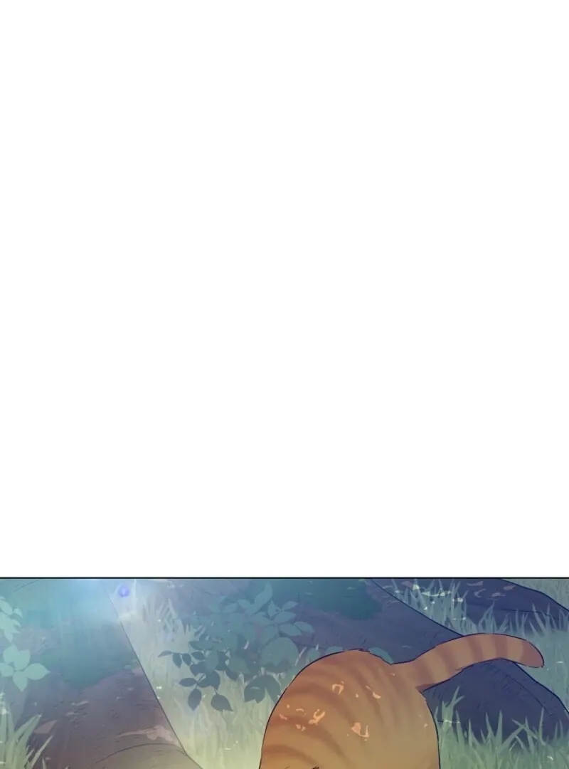 Read Who Made Me A Princess EN Manga Online