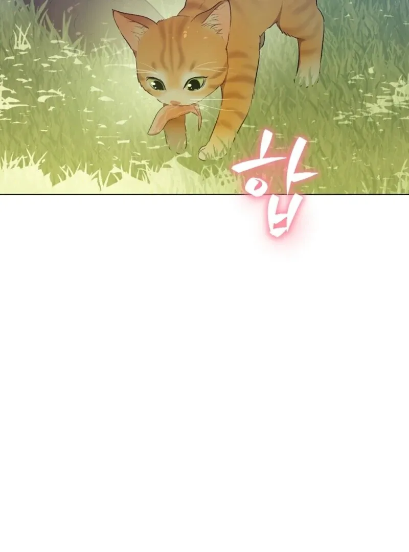 Read Who Made Me A Princess EN Manga Online