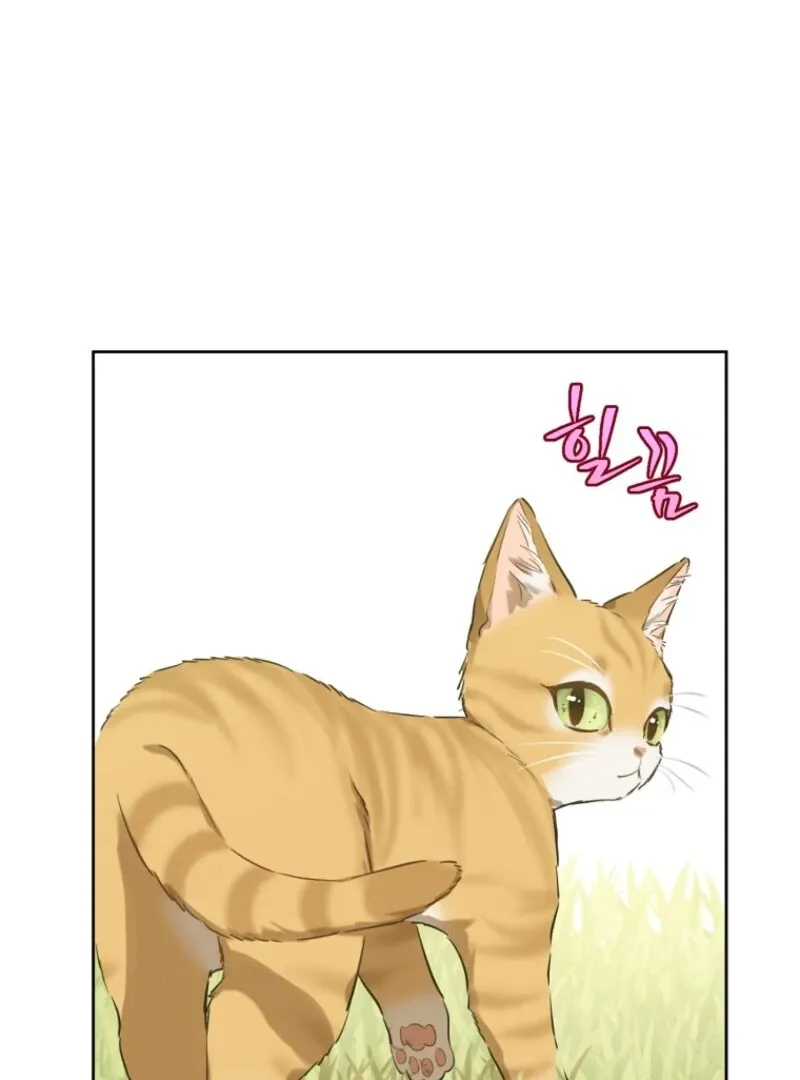 Read Who Made Me A Princess EN Manga Online