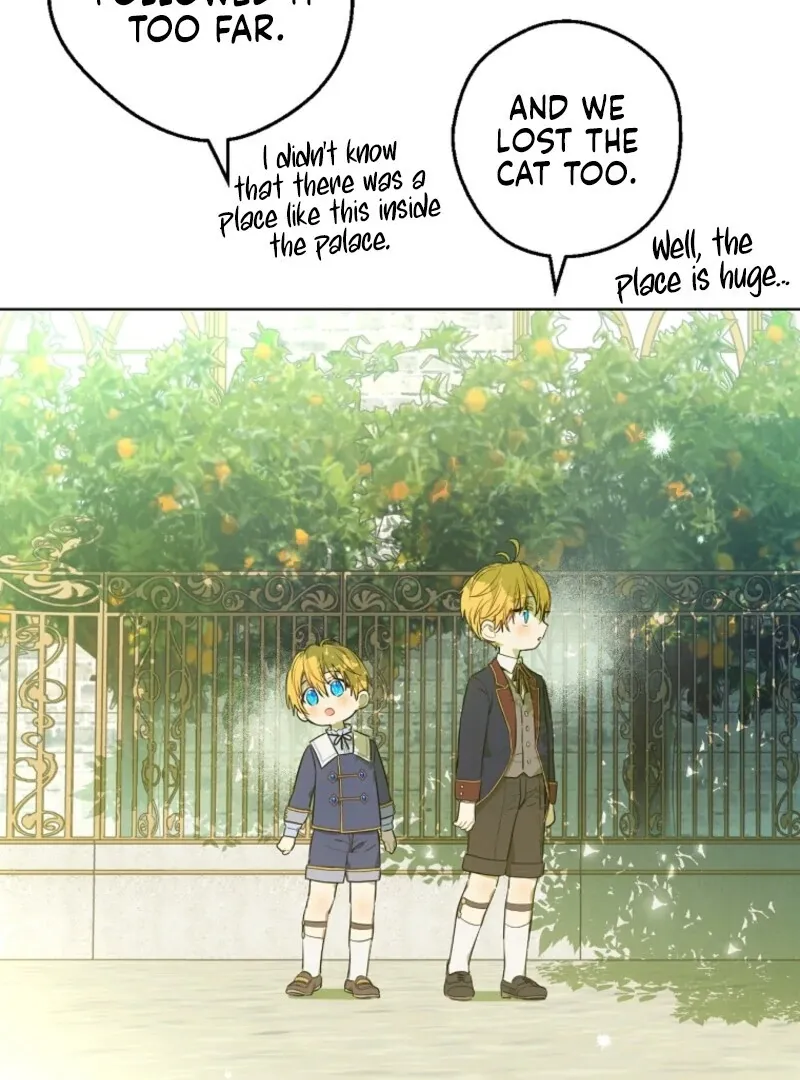 Read Who Made Me A Princess EN Manga Online