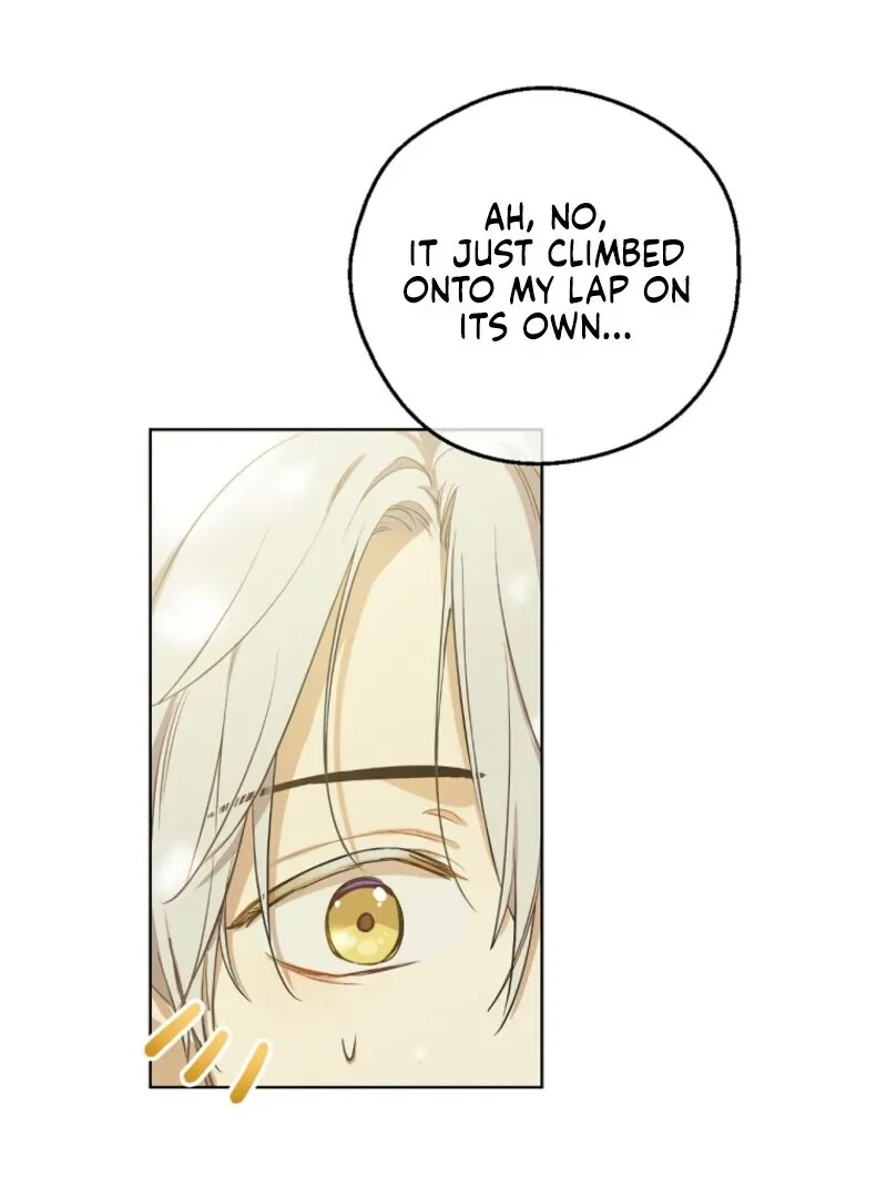 Read Who Made Me A Princess EN Manga Online
