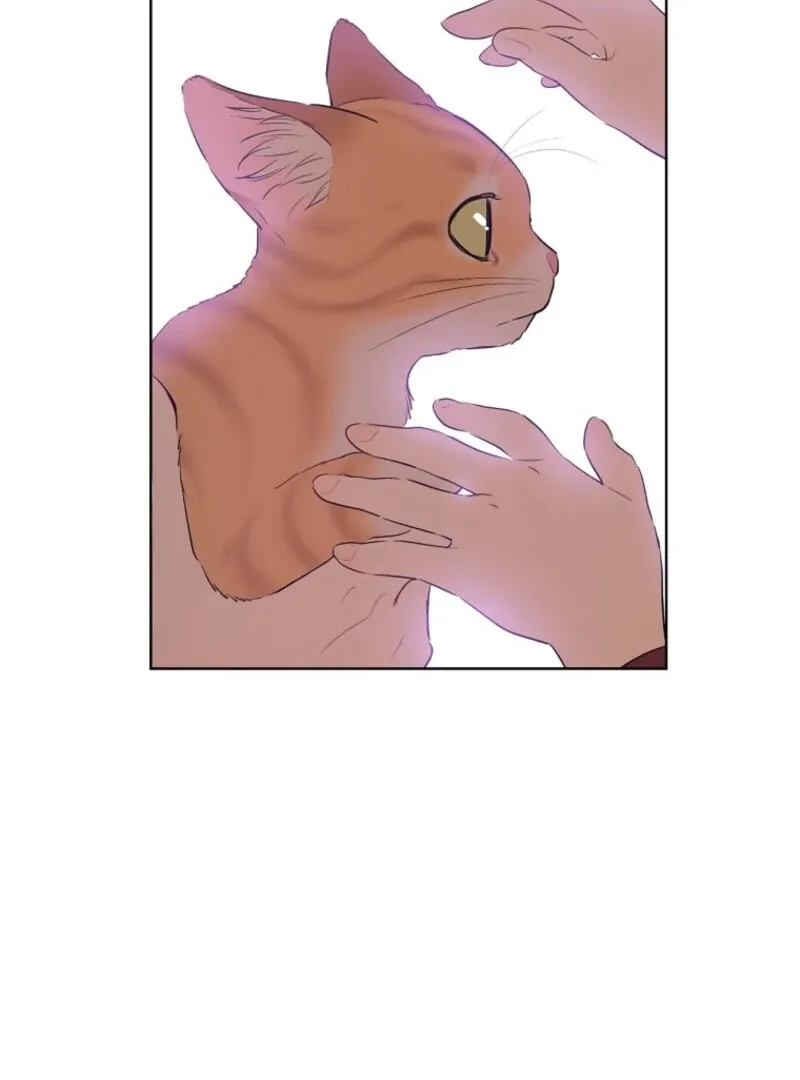 Read Who Made Me A Princess EN Manga Online