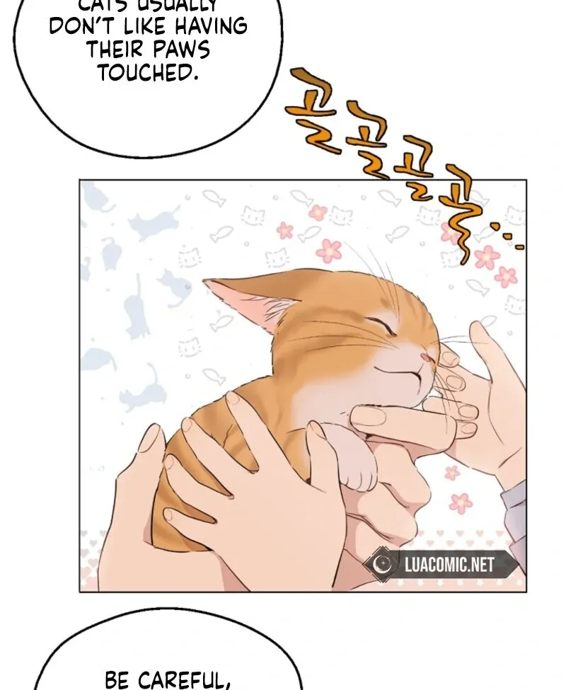 Read Who Made Me A Princess EN Manga Online